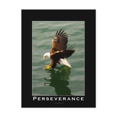 Bald Eagle Motivational Postcards by RavenSpiritPrints
