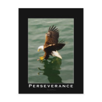 Bald Eagle Motivational Postcards
