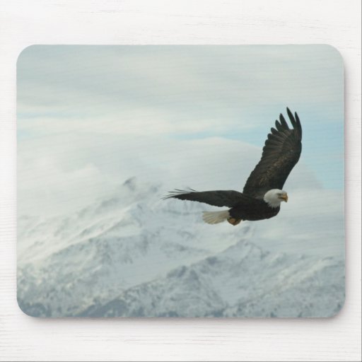 Bald eagle & mountains mouse pads