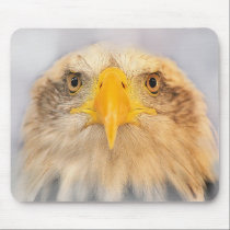 Bald Eagle mousepads
