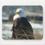 Bald Eagle Mousepad