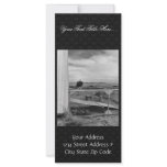 Bald Eagle on Goose Pen Custom Rack Cards