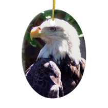 Bald Eagle Ornaments