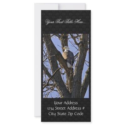 Bald eagle perched in tree custom rack card by animalpark
