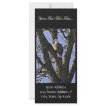 Bald eagle perched in tree custom rack card