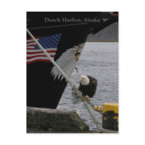 Bald Eagle Perched on a Mooring Line, Dutch Harbou