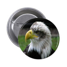 Bald Eagle Pinback Button