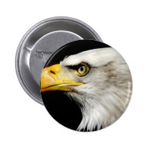 Bald Eagle Pins