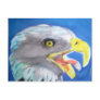 Bald Eagle Postcards