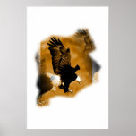 Bald Eagle Poster Print - American Eagle Posters