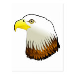 Bald Eagle Powerful Bird of Prey Post Card
