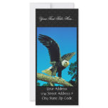 Bald Eagle Personalized Rack Card