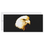 Bald Eagle Customized Rack Card