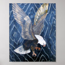 Bald Eagle Scratch Posters