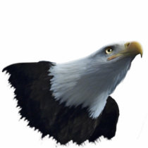 BALD EAGLE (sculpted) Bird of Prey Wildlife Magnet Photo Cut Out