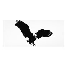 Bald Eagle Silhouette Rack Cards