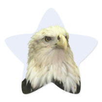 Bald Eagle Star Sticker