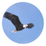 Bald eagle round sticker