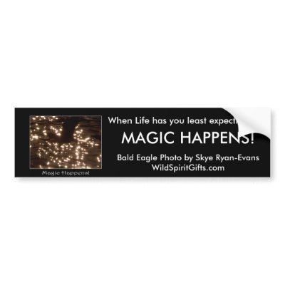 BALD EAGLE & SUNLIT WATER BUMPER STICKERS by RavenSpiritPrints