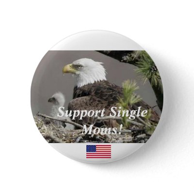 Bald Eagle Support Single Moms Pin by fishertim123