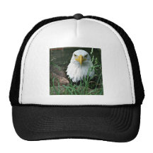bald eagle trucker hats