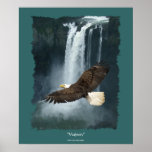 Bald Eagle & Water-Fall Nature Lovers Art Poster