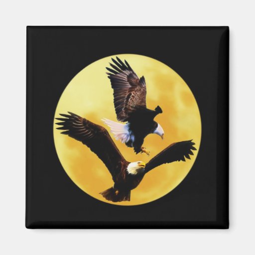 Bald eagles and full moon refrigerator magnets