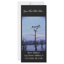 Bald Eagles at Reelfoot National Wildlife Refuge Rack Cards
