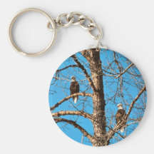 Bald Eagles Keychains
