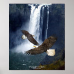 Bald Eagles & Water-Fall Wildlife Art Poster
