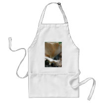 Baleen Plates Apron
