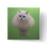 Ball of fluff kitten button