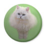 Ball of fluff kitten magnet
