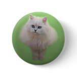 Ball of fluff kitten pinback button