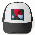 Ball Python next to Santa Hat, snake Christmas