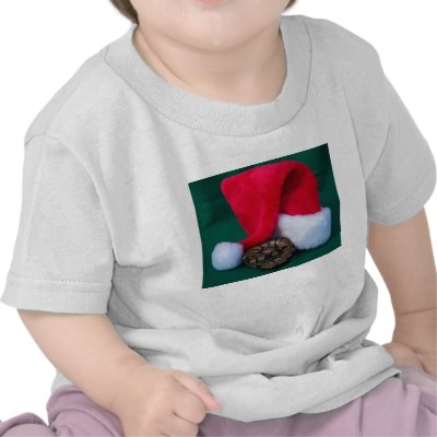 Ball Python next to Santa Hat, snake Christmas by SusansZooCrew