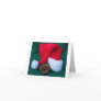 Ball Python next to Santa Hat, snake Christmas