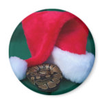 Ball Python next to Santa Hat, snake Christmas
