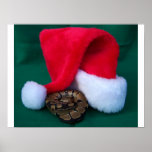 Ball Python next to Santa Hat, snake Christmas