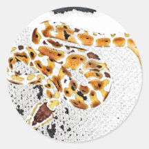 Ball Python Round Stickers