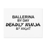 Ballerina Deadly Ninja by Night Post Cards