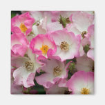 Ballerina Rose Fridge Magnet