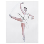 Ballet flyers
