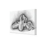 Ballet shoes Wrapped Canvas canvas prints