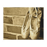 ballet slippers canvas print