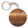 BallLightsRow060709 Keychain