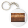 BallLightsRow060709 Key Chains