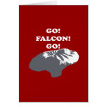 Balloon Boy - Go Falcon Go