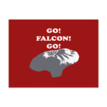 Balloon Boy - Go Falcon Go