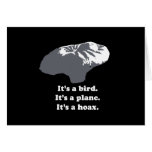 Balloon boy - It's a bird. It's a plane. It's a Ho